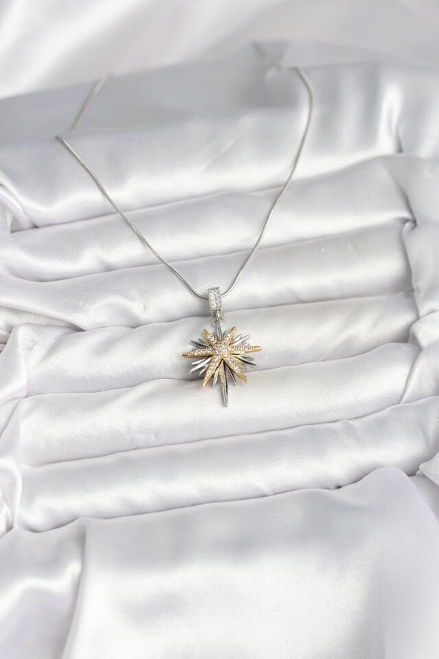 316L Çelik Zincir Gümüş Renk Kutup Yıldızı Model Kadın Kolye